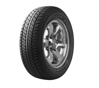 Шины 265/65 R17 Dunlop летние Купить шины 265/65 R17 Dunlop летние Резина 265/65 R17 Dunlop летняя Цена шины 265/65 R17 Dunlop летняя